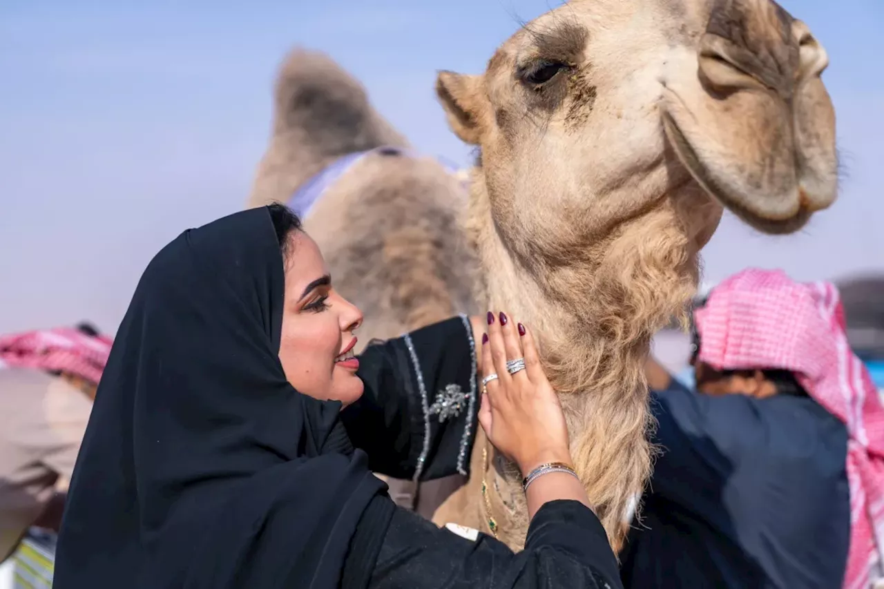 8 متأهّلات لمرحلة التحكيم النهائي في شوط الأميرة نورة بنت عبد الرحمن