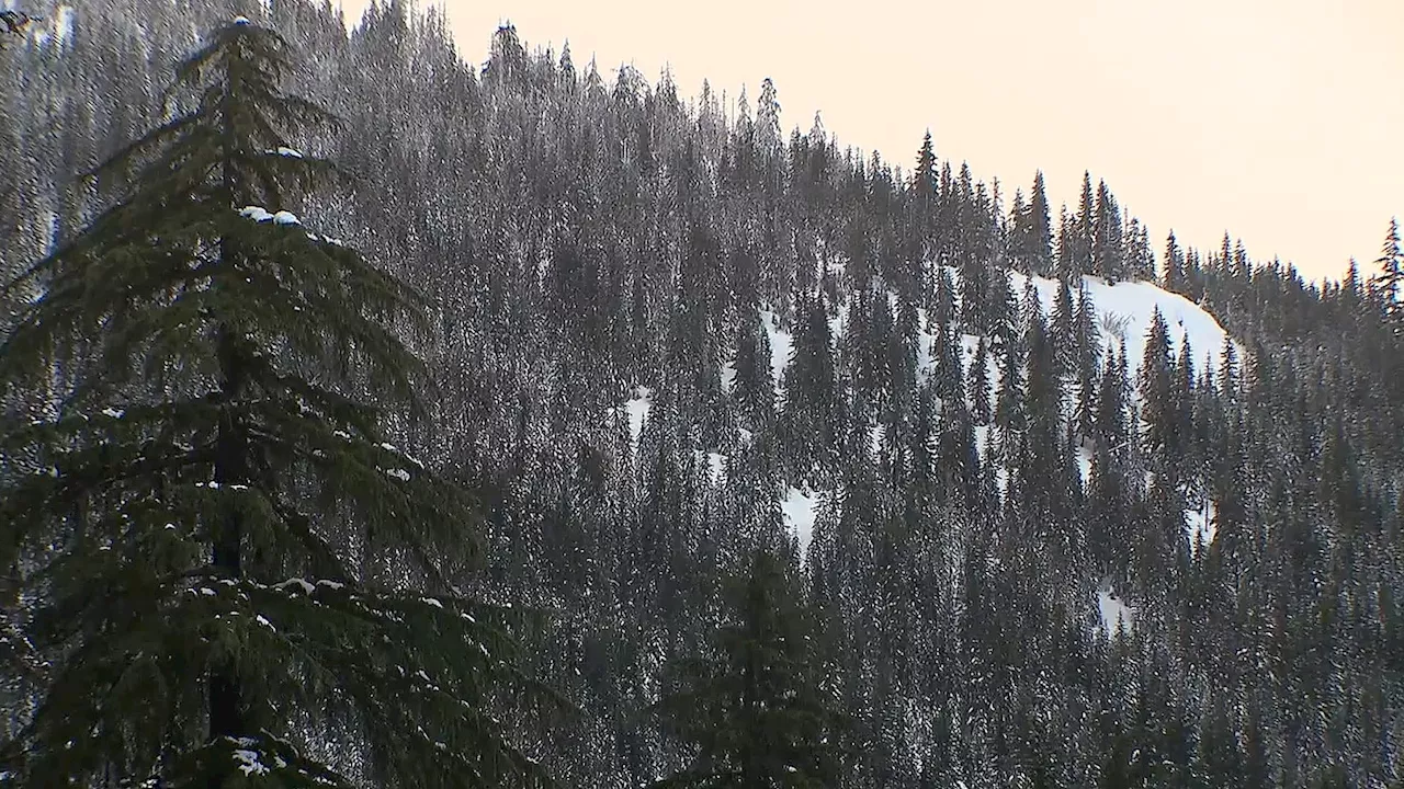 Severe Storms Batter West Coast, Tornadoes Threaten South