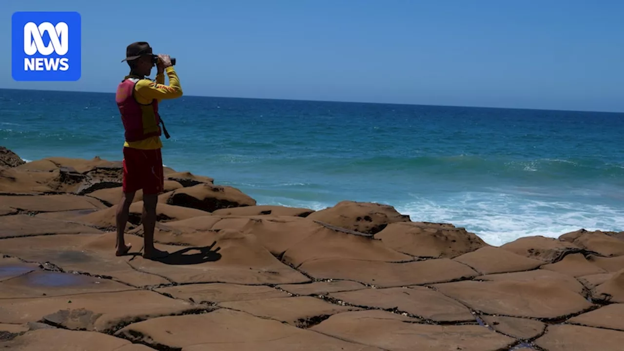 Body found in search for missing teenager Luca Bennett at North Avoca Beach