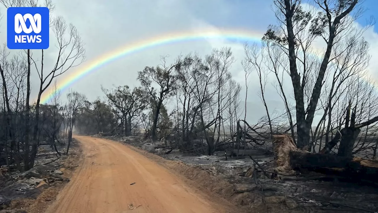 Victoria Bushfire Threat Eases, Halls Gap Residents Allowed Home