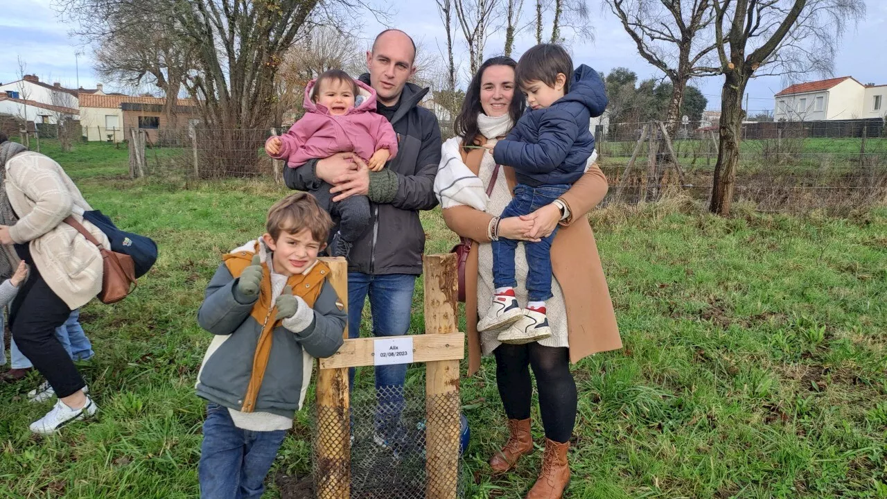 Dans cette commune de Loire-Atlantique, dix-huit bébés nés en 2023 possèdent leur arbre