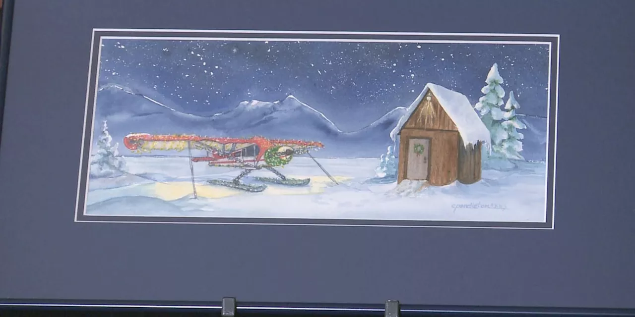 Christmas light plane inspires local artist