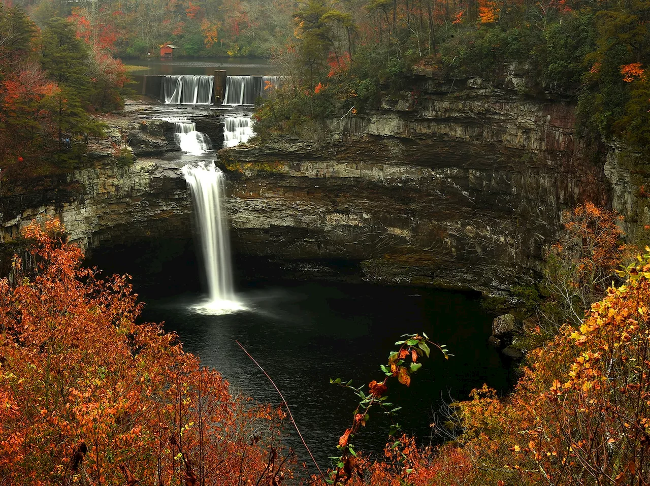 12 Alabama state parks offering guided New Year’s Day hikes