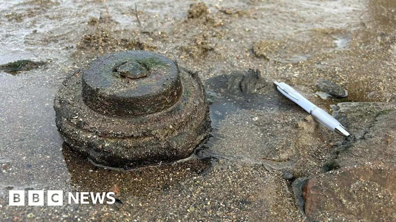 Beach Bomb Scare Turns Out to Be Speaker