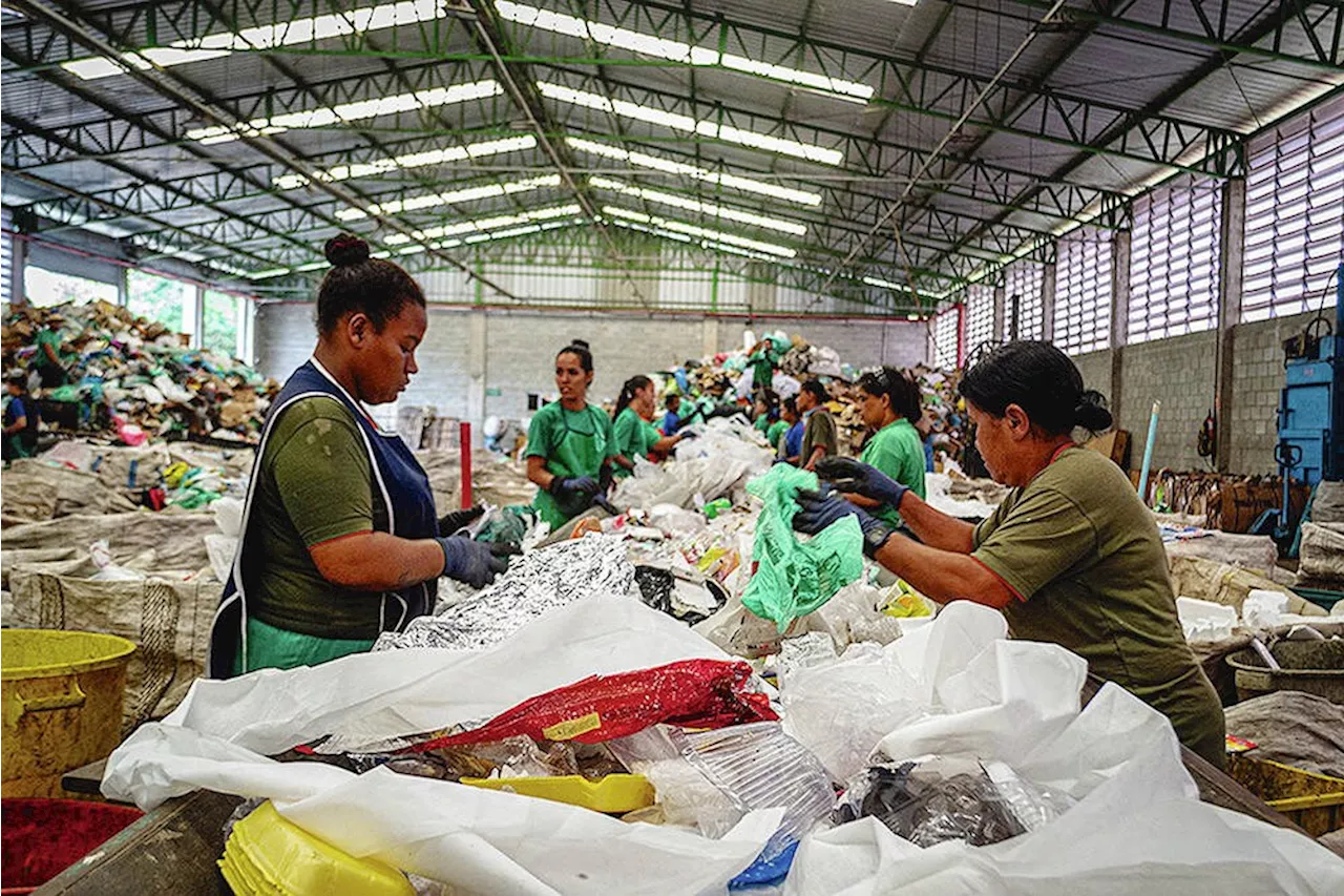 UVic Professor Seeks Educational Opportunities for Waste Pickers in Victoria