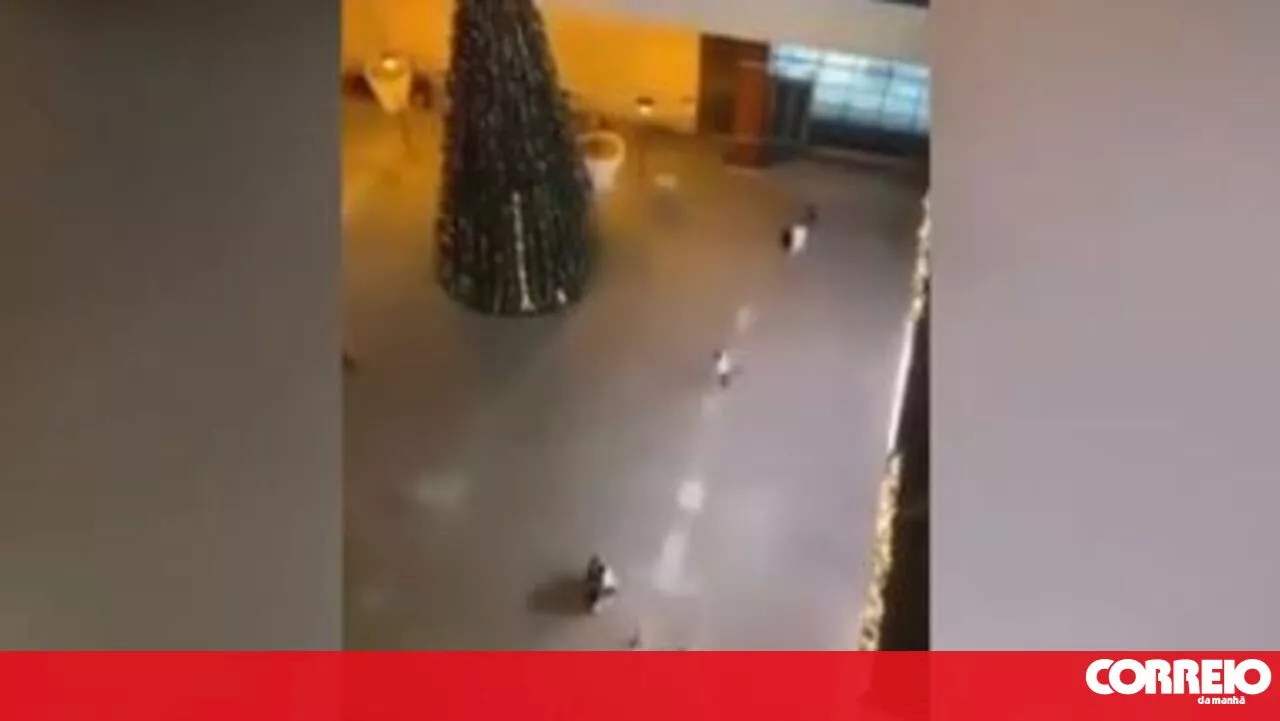 Tiroteio no Palácio do Gelo Shopping em Viseu: Uma mulher morta e dois feridos