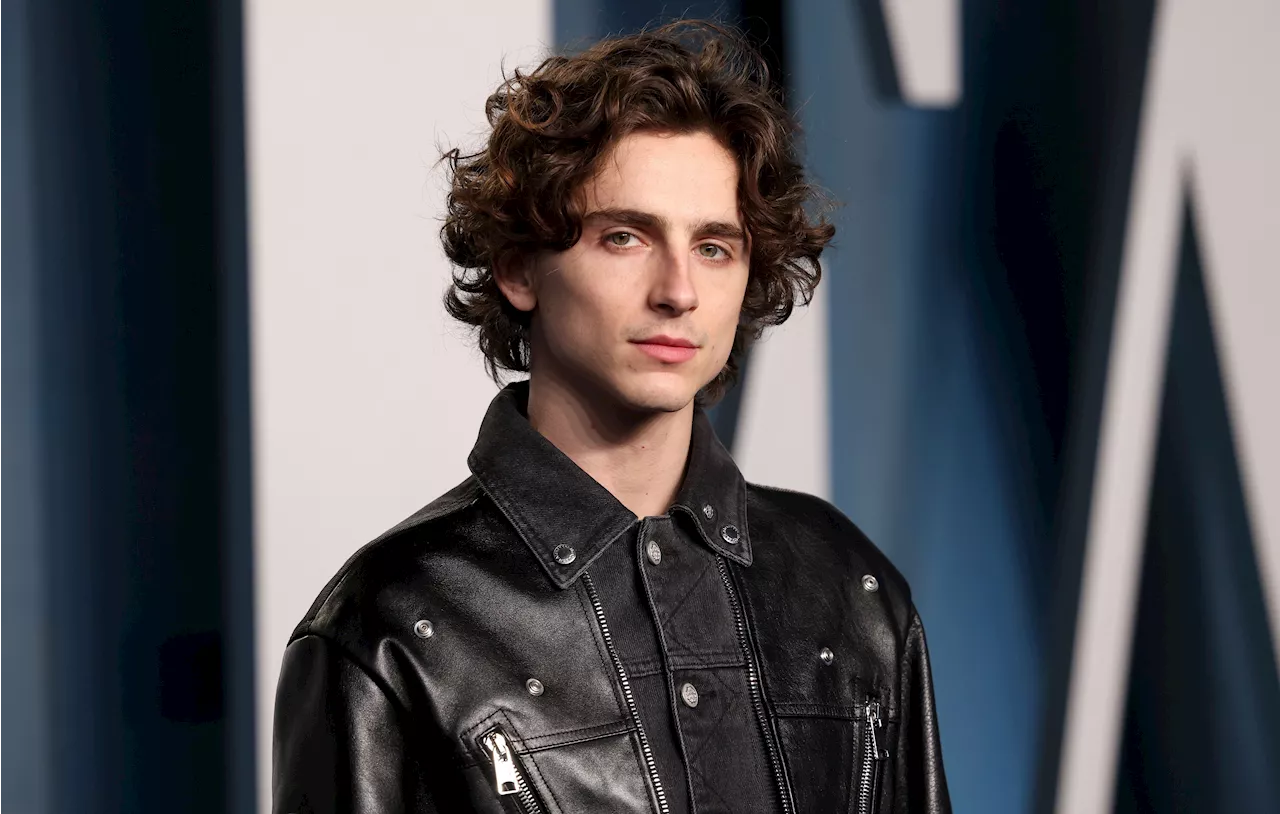 Timothée Chalamet Completa 29 Anos: Uma Carreira em Ascensão