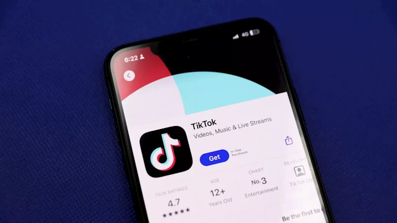 Trump Asks Supreme Court to Delay TikTok Ban