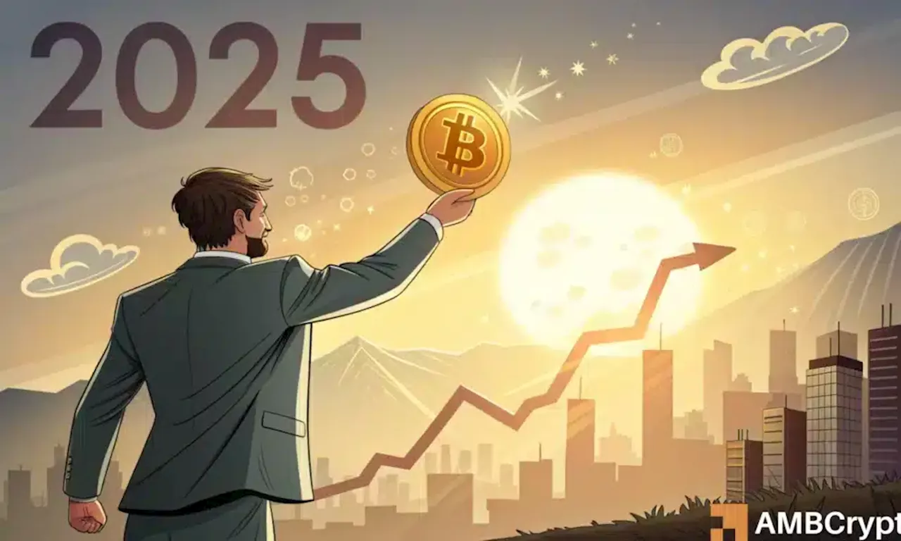 Bitcoin's Bullish Momentum: 2024 Recap and 2025 Outlook