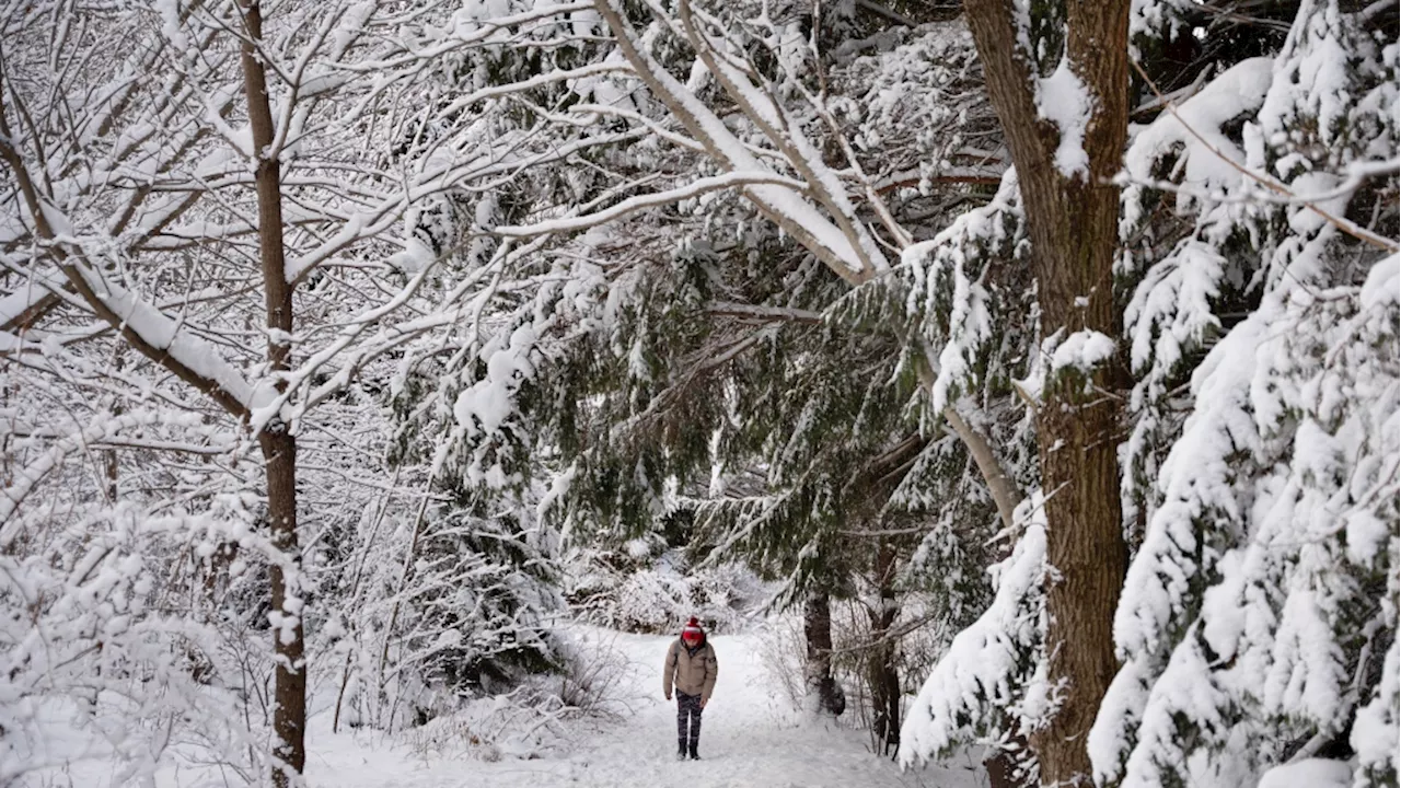 Winter Storm Brings Freezing Rain and Cold to Canada