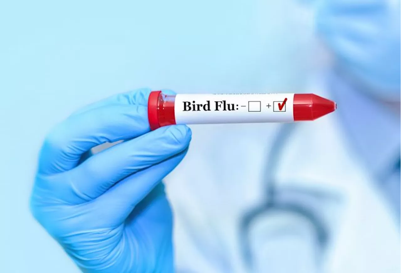 First severe case of bird flu in humans shows mutations