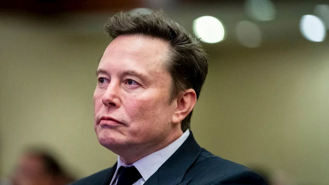 Vorwurf der »Wokeness«: Wikipedia-Spender trotzen Boykottaufruf von Elon Musk