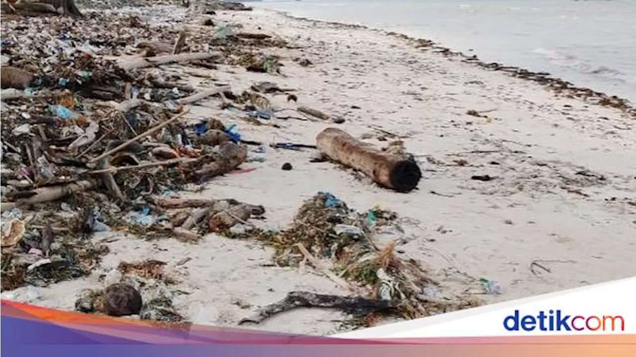 Potongan Tubuh Manusia Ditemukan di Pantai Selayar, Dikuburkan Tanpa Autopsi