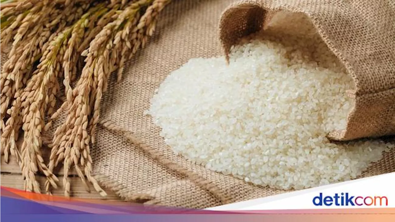 Catat! Cuma Beras Jenis Ini yang Kena PPN 12%