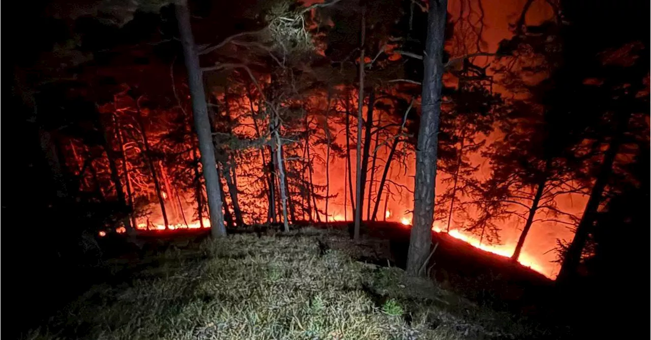 100 Feuerwehrleute bei Waldbrand in der Steiermark im Einsatz