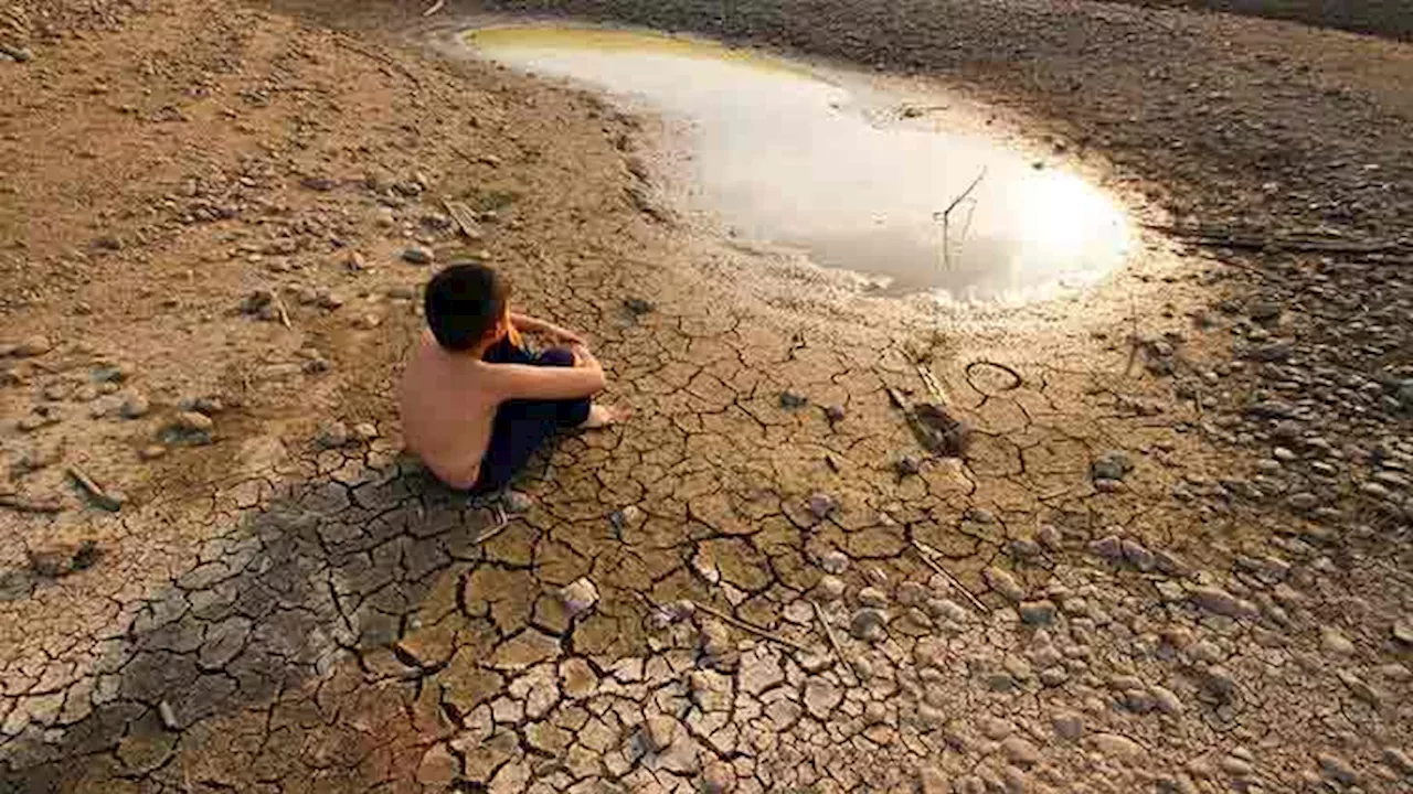 موجودہ حکومت نے ماحولیاتی تبدیلی کے حوالے عدالتی حکم کی مکمل اطاعت کی