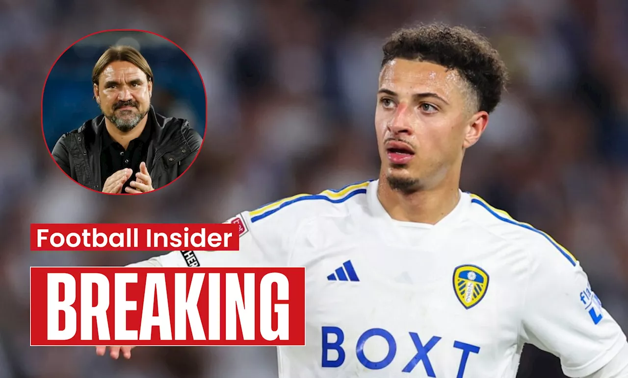 Ampadu Hails Leeds Supporters After Stoke Victory propels them to Championship Top