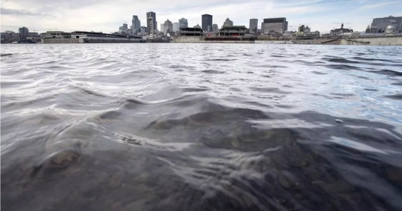 Cargo Ship Stranded in St. Lawrence River Since Christmas Eve