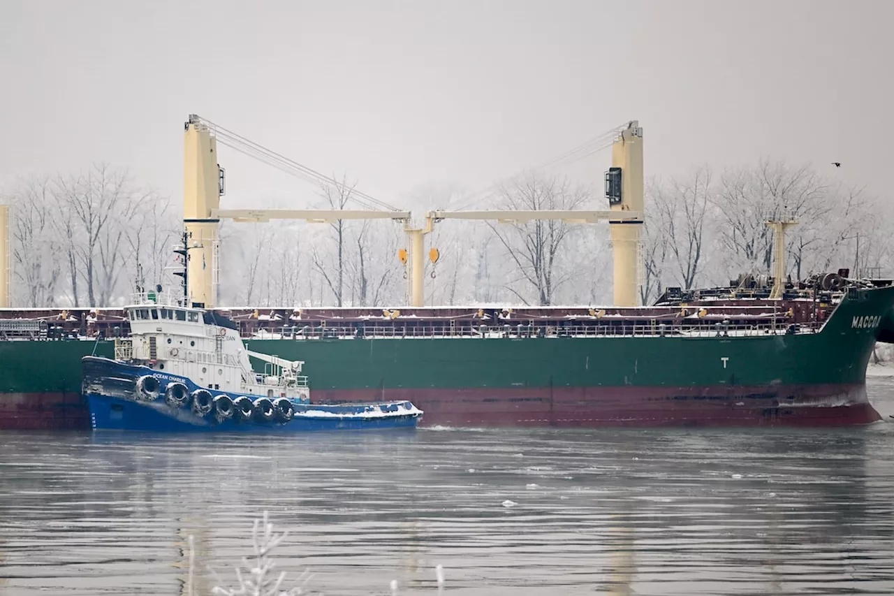 Tugboats Attempt to Refloat Cargo Ship Stuck in St. Lawrence River