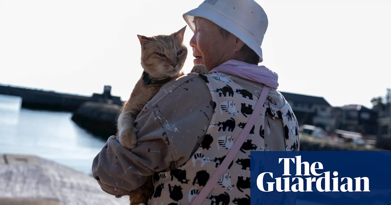 Japan's Cat Island Faces a Feline Famine