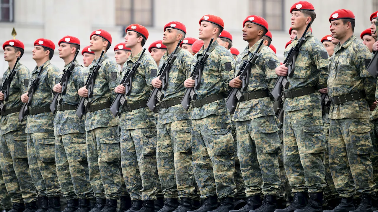 Verschwundene Waffen im Bundesheer: Alarm bei Grünen