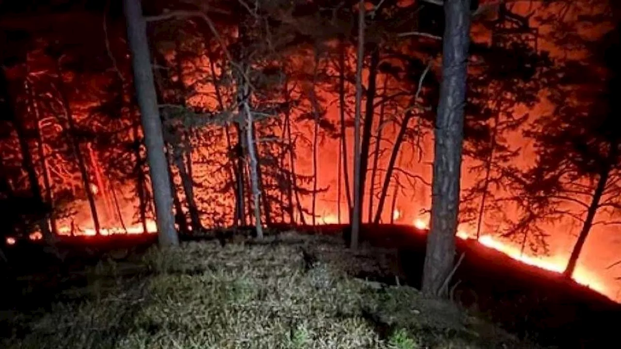 Zwei Hektar betroffen - Waldbrand hält steirische Feuerwehren in Atem