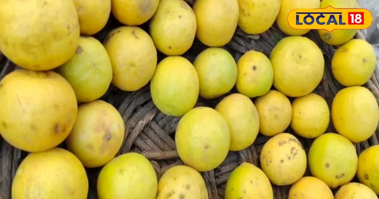 Nimbu Pani: सर्दियों में इम्यूनिटी के लिए पिएं नींबू-पानी, रोज करें इसका सेवन; कोसों दूर रहेंगी बीमारियां!