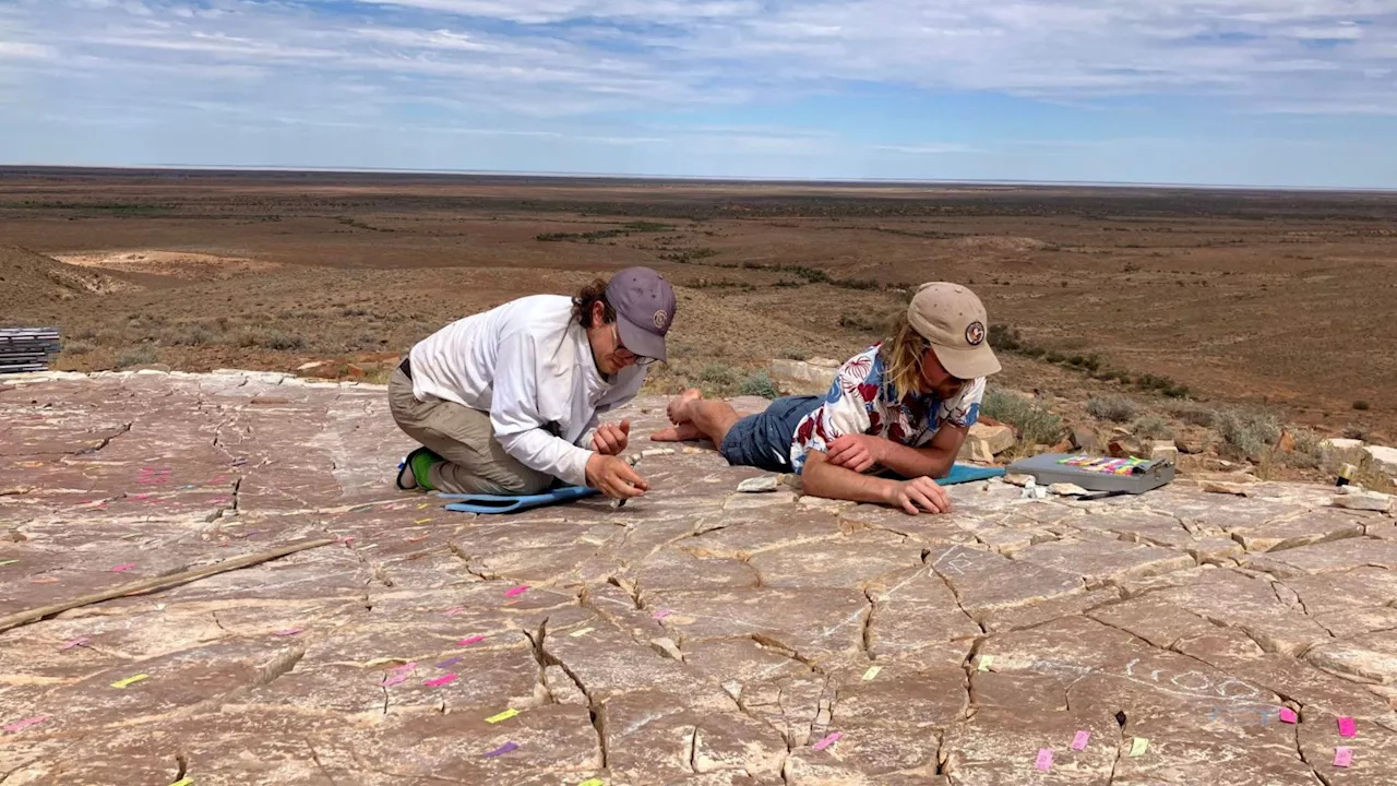 555-million-year-old worm-like fossil discovered, first from Precambrian era