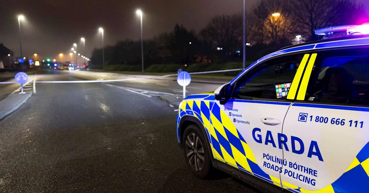 Second Death in Dublin Hit-and-Run