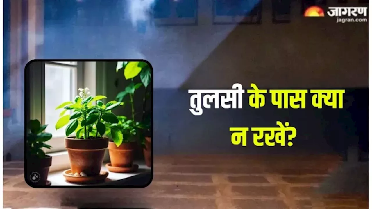 Vastu Tips for Tulsi: तुलसी के पास भूलकर भी न रखें यह एक चीज, हो जाएंगे कंगाल