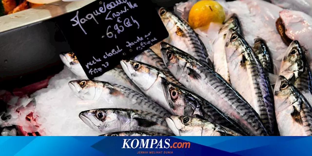 Tips Simpan Ikan agar Tetap Segar, Stok Untuk Malam Tahun Baru