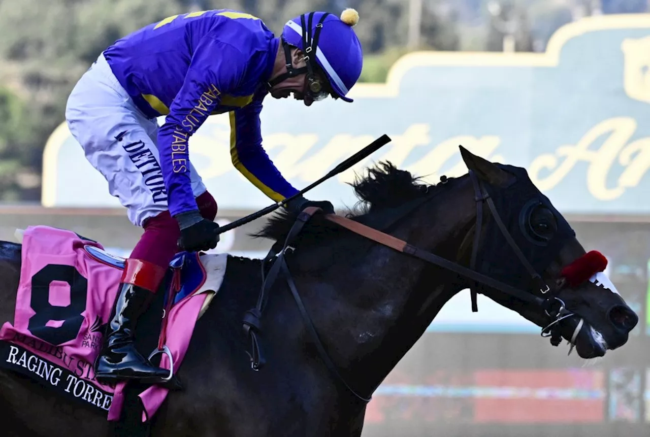 Raging Torrent wins, Mystik Dan last at Santa Anita opener