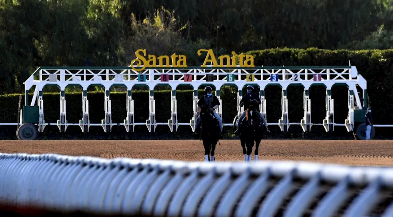 Santa Anita Horse Racing Picks for Opening Day