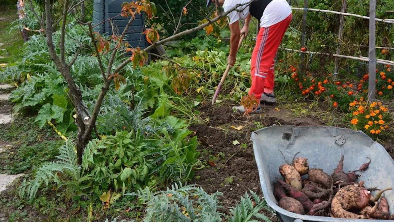 Étude sur la Pollution des Sols dans le Villefranchois