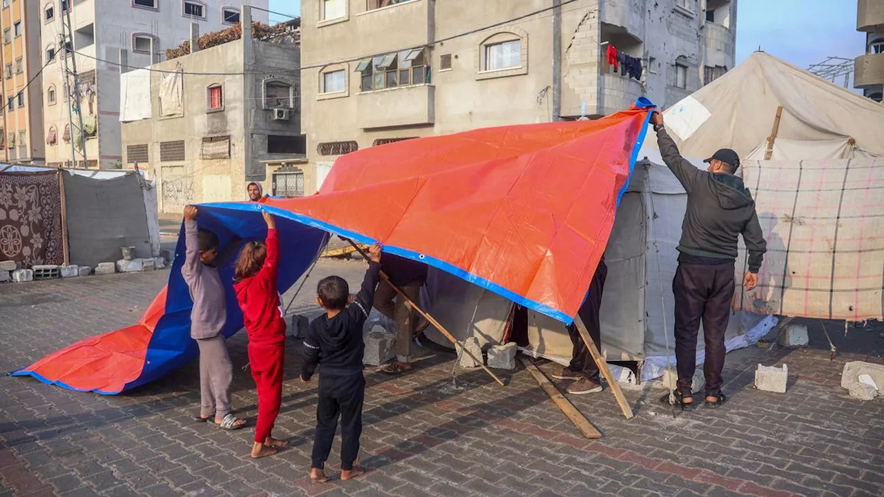 Kisah Pilu dari Tanah Gaza, 3 Bayi Palestina Meninggal Kedinginan di Tenda Pengungsian