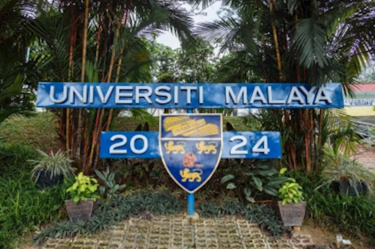 UM cat deaths: Lecturer, students among seven questioned, says KL top cop