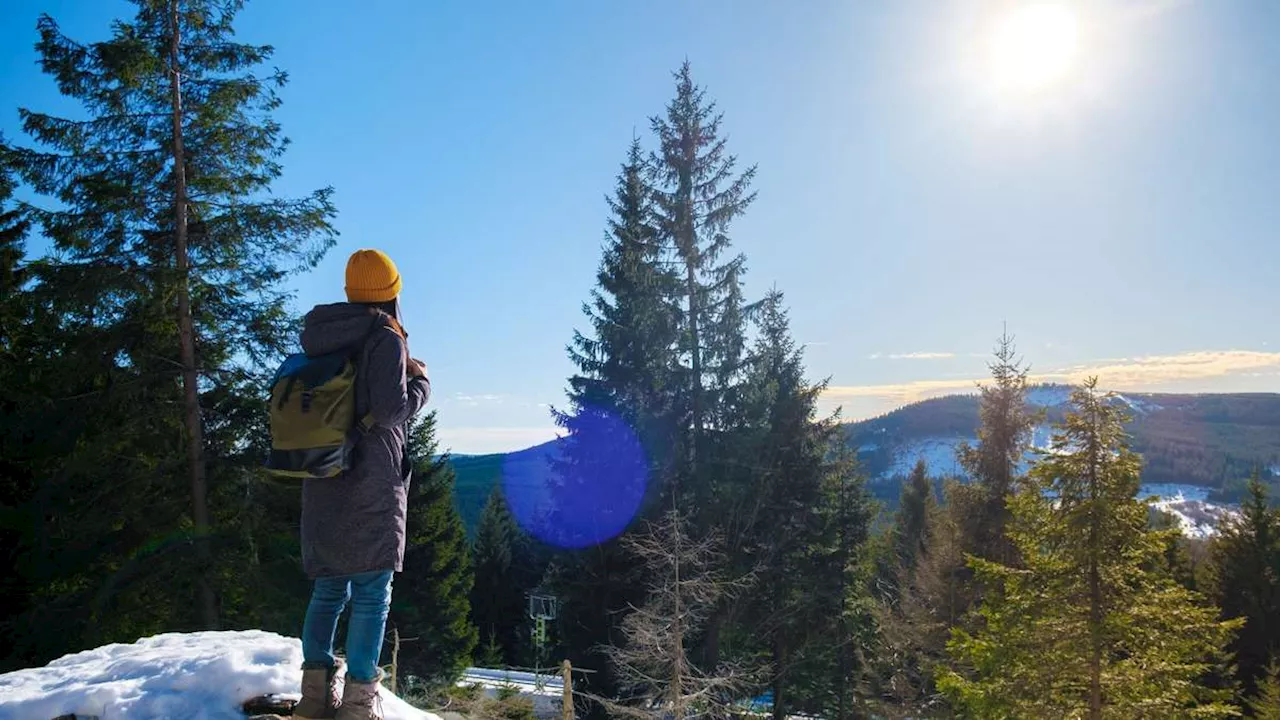 Winterwanderungen im Harz