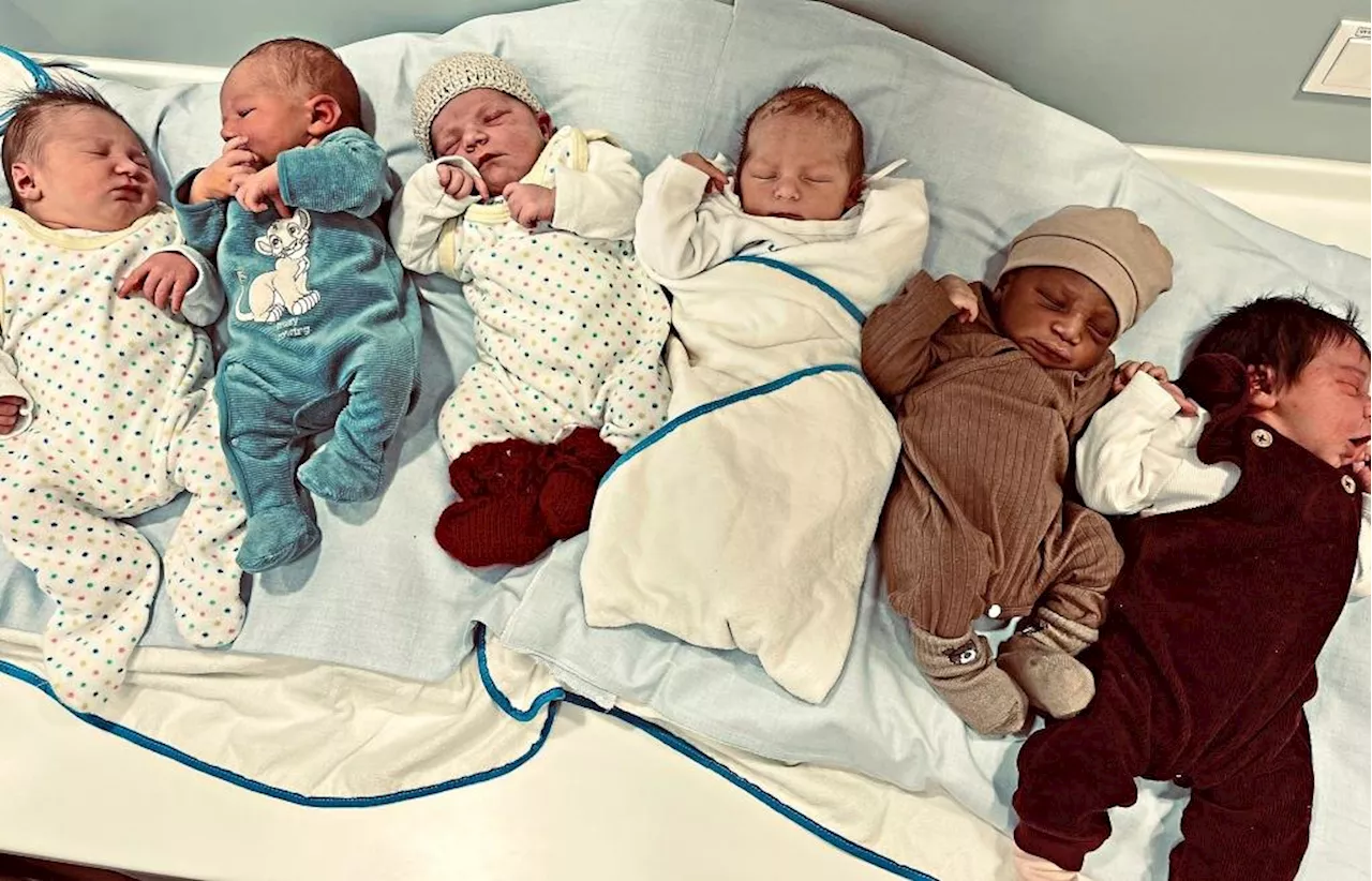 Sieben Babys im Barmherzige Brüder Krankenhaus Schwandorf an Weihnachten geboren