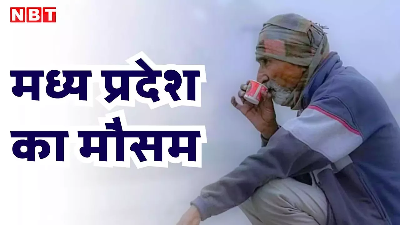 MP Weather Update: मध्य प्रदेश के इन जिलों गरज चमक के साथ बारिश का अलर्ट, कई शहरों में छाया रहेगा घना कोहरा