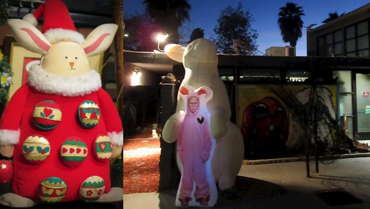 The Bunny Museum is hopping through the holidays