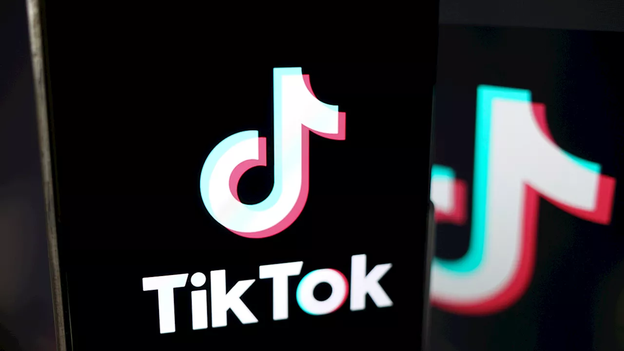 Trump asks Supreme Court to delay TikTok ban so he can weigh in after he takes office