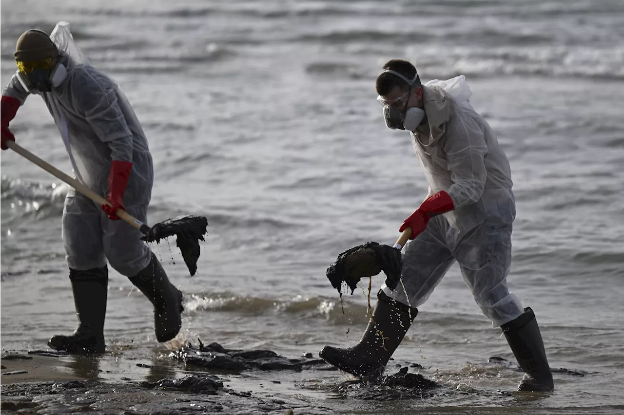 Russia Declares State of Emergency Over Black Sea Oil Spill