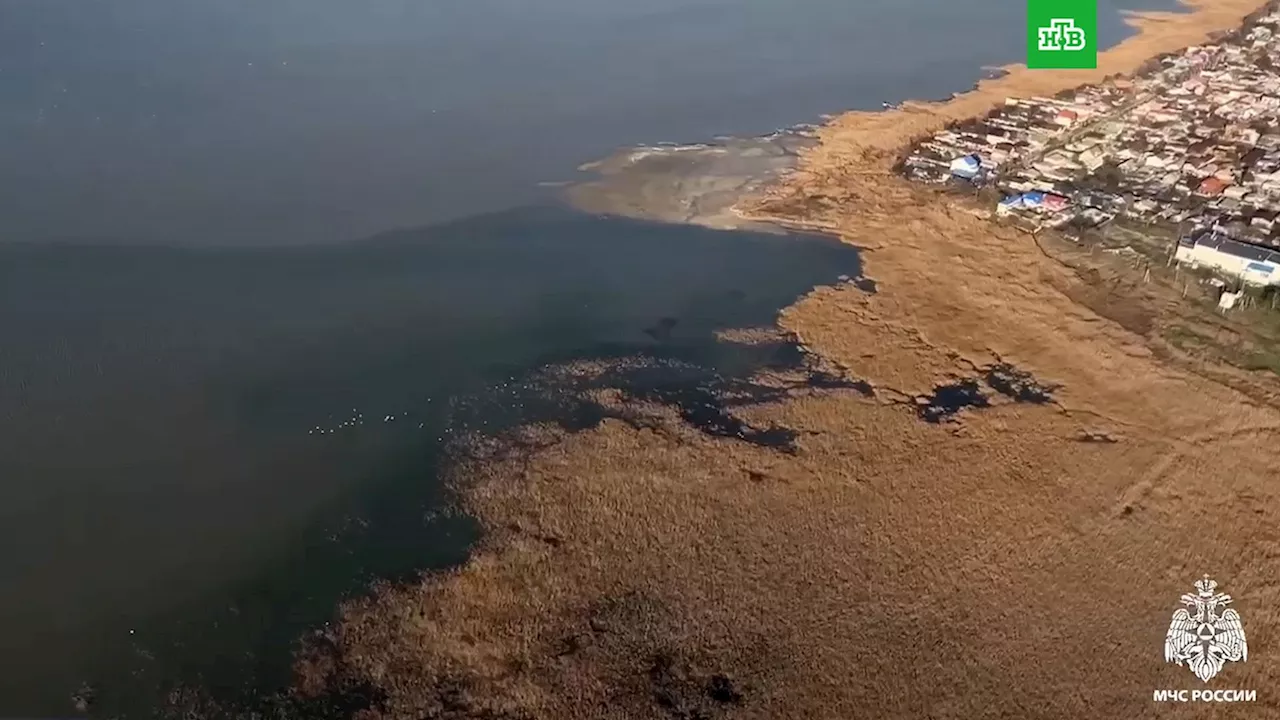 Разлив Мазута в Черном Море: Кубань Просит Помощи