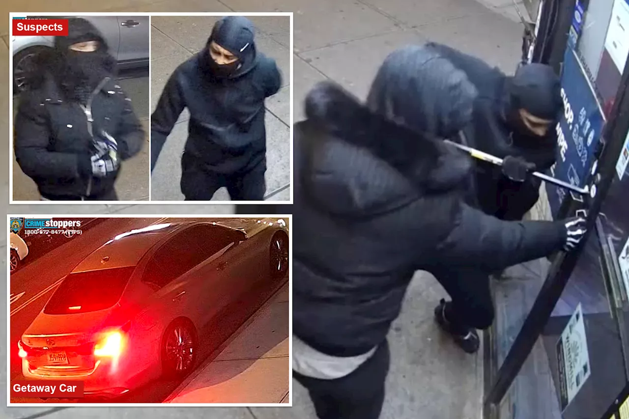 Bumbling Burglars Fail to Steal Anything in Queens Drug Store Heist