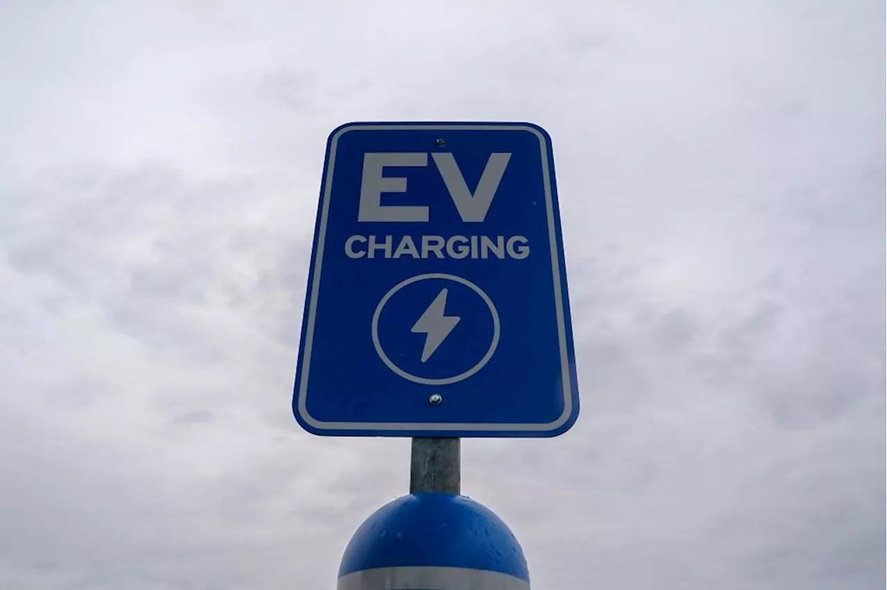 EVs See Continued Global Growth Despite Headwinds