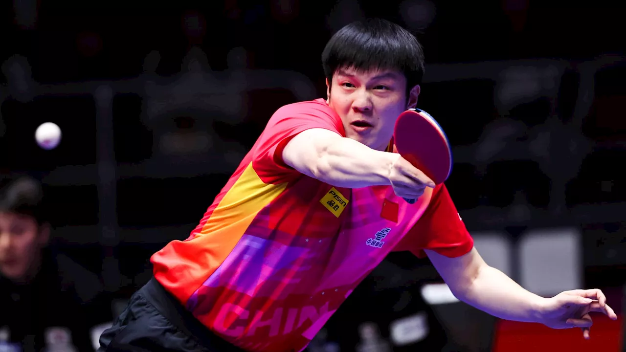 Tennis de table: le champion olympique Fan Zhendong abandonne le circuit mondial WTT