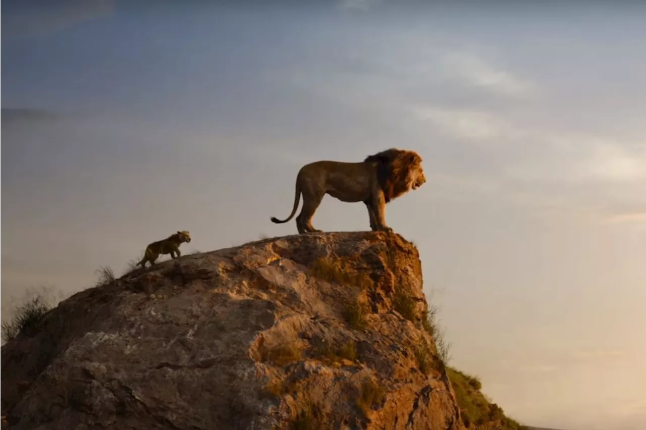 'Mufasa : Le roi lion' : 1.2 million d'entrées pour sa première semaine