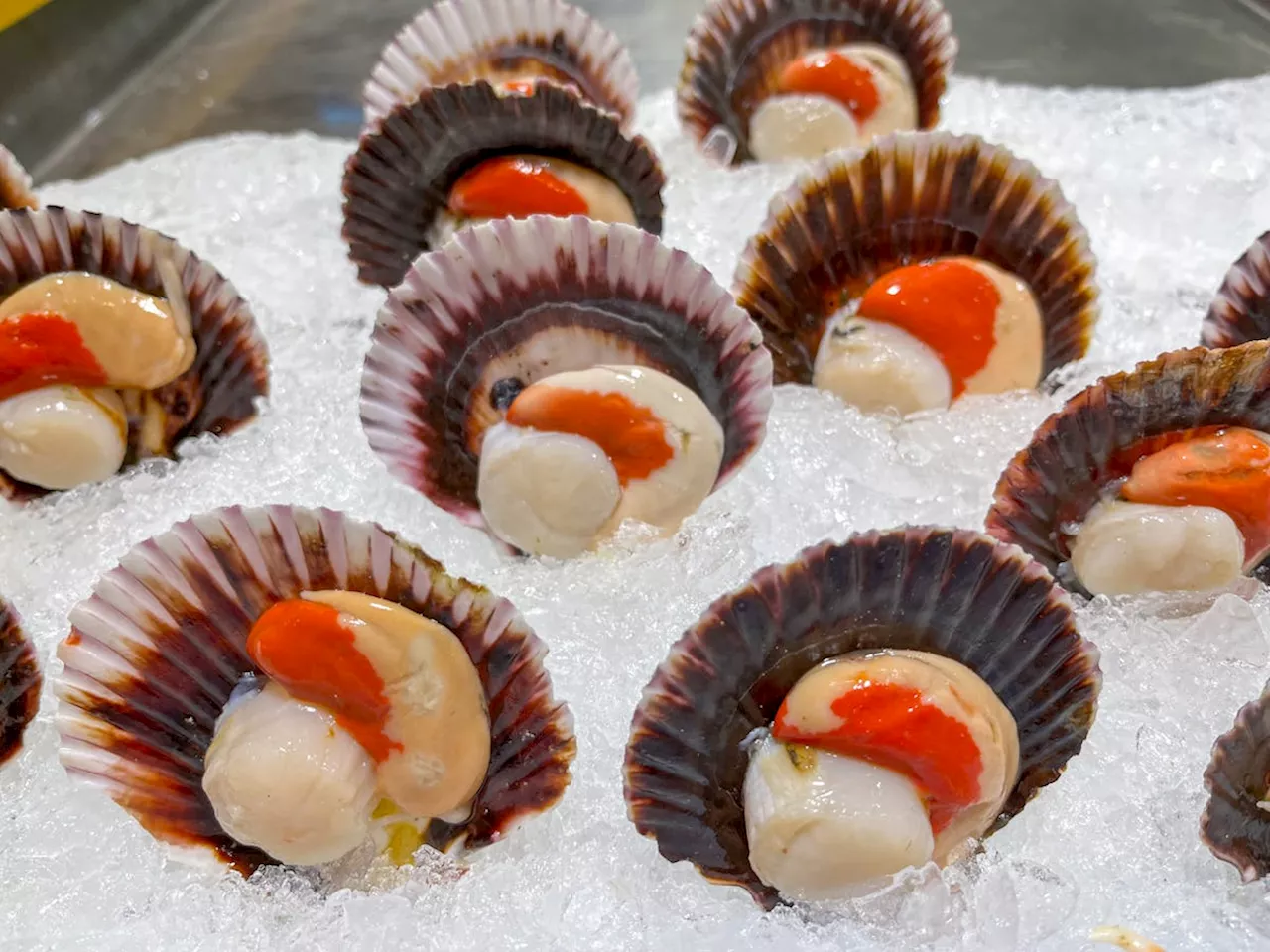 Le Corail des Coquilles Saint-Jacques : Un Trésor Nutritionnel