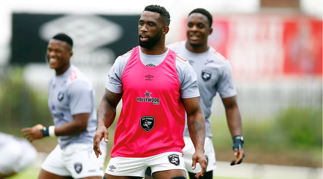 Kolisi bolsters Sharks for Cape clash