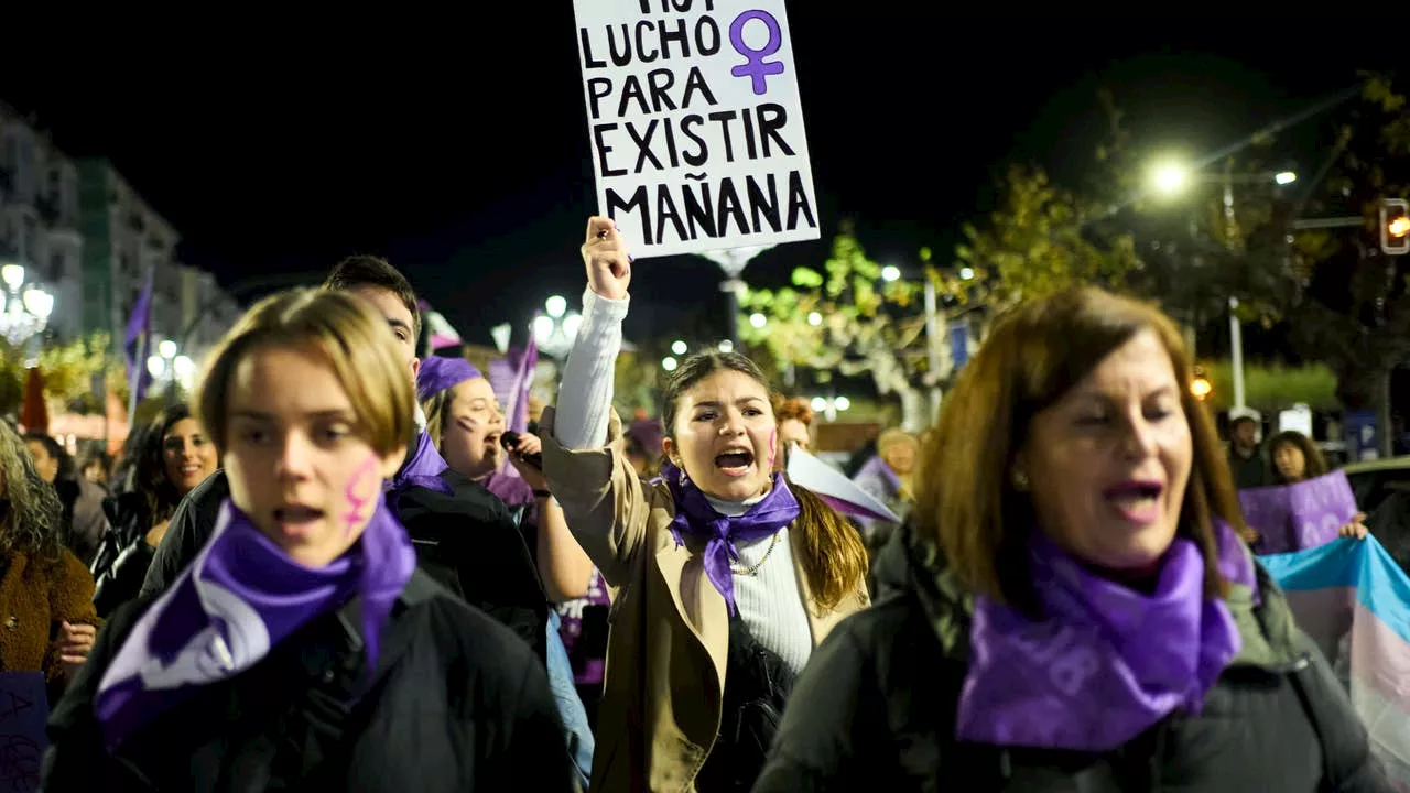 20 años de la Ley Integral contra la Violencia de Género en España